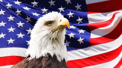 Bald Eagle and US Flag